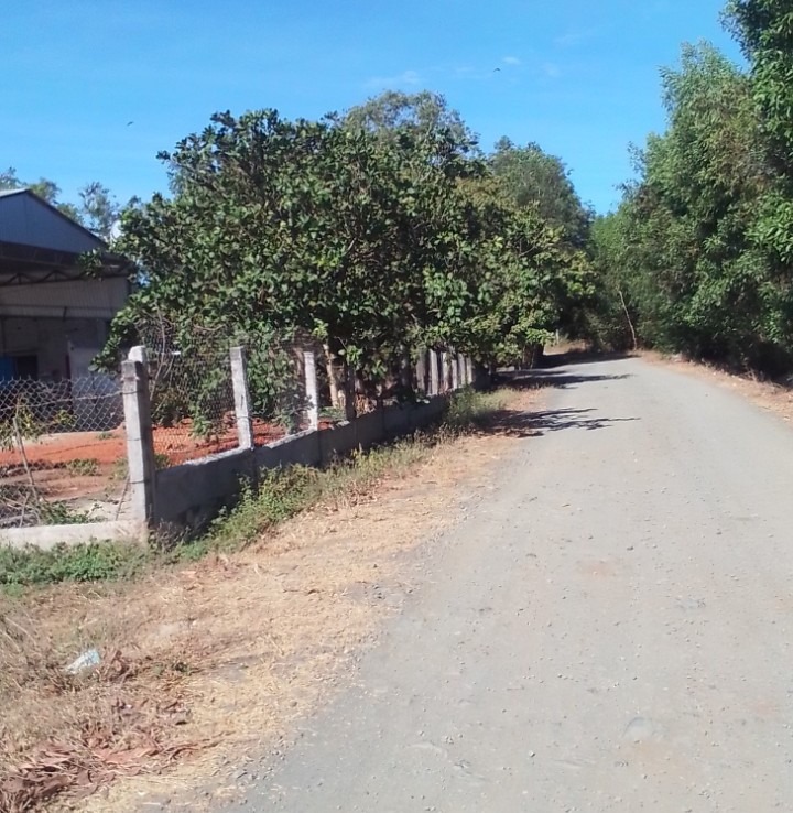 Lô đất bông trang cách ql55 100m 12*45 giá 1tỷ6 ib 0982572791